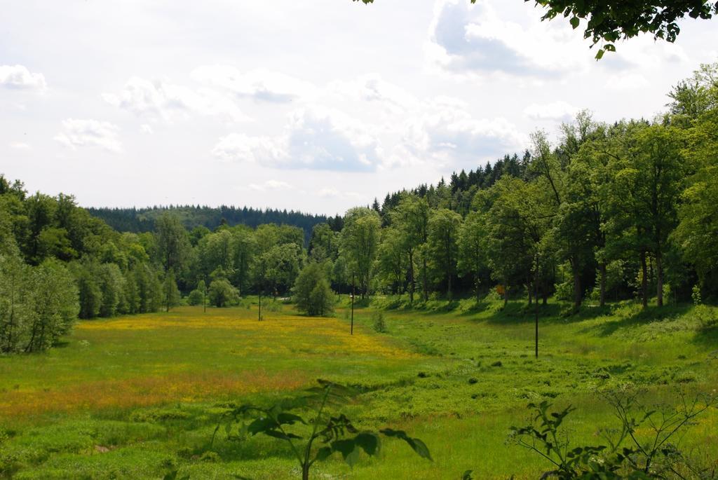 Wildenburger Hof Hotell Friesenhagen Exteriör bild